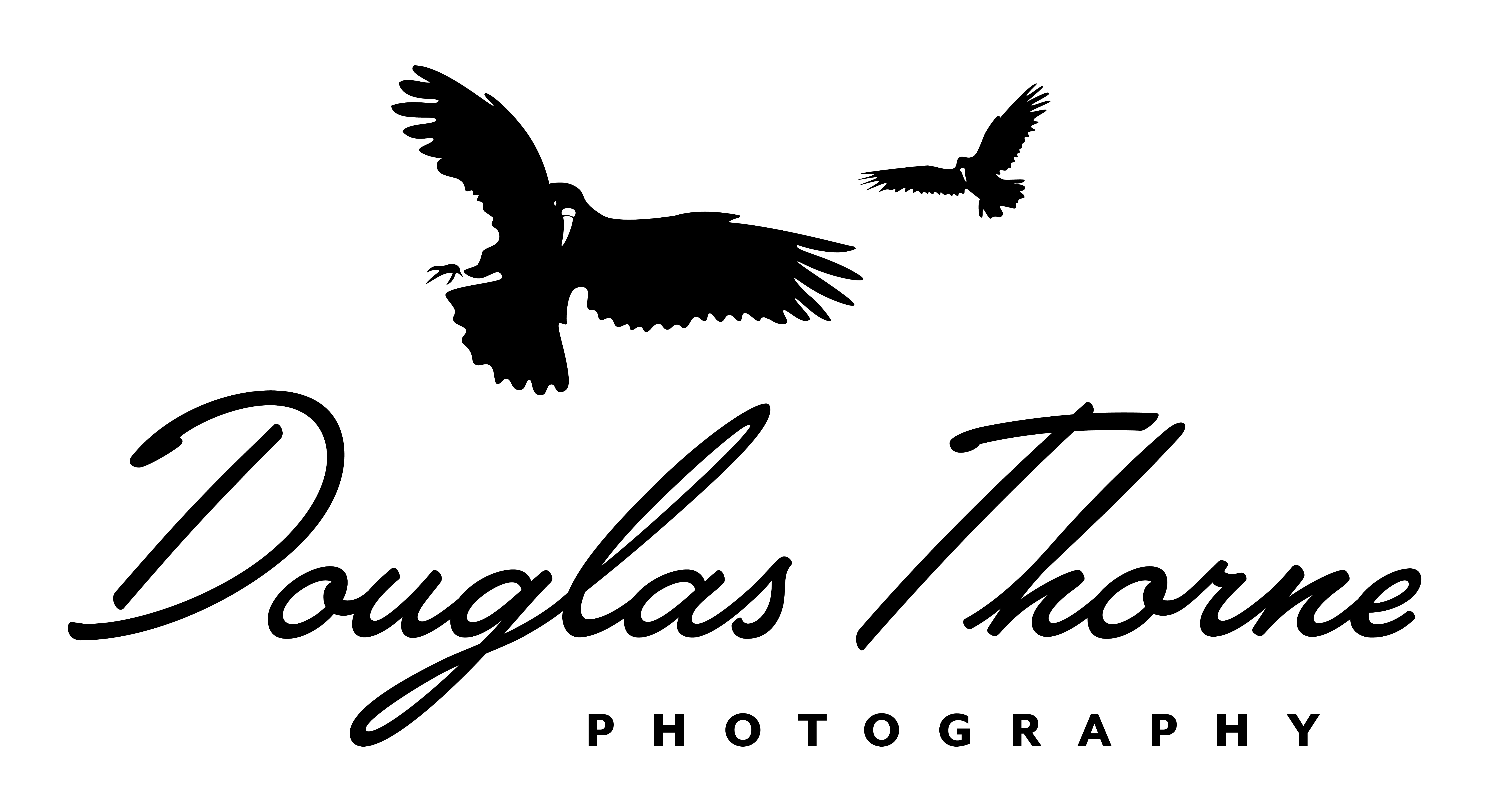 Douglas Thorne Photography